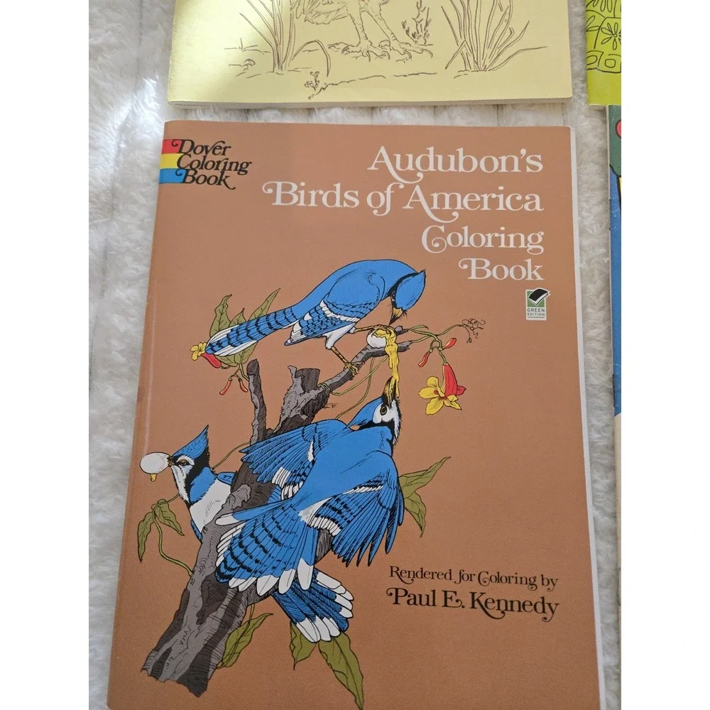 4 Nature Coloring Books Florida Audubon's Birds Everglades West Wildlife Gift